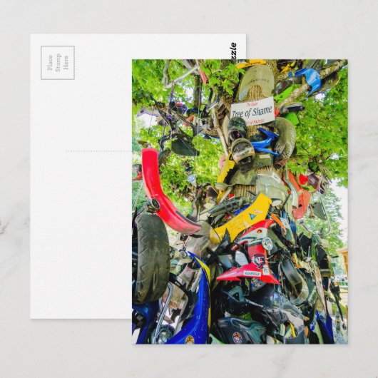Boom van schaamte staart van de draak briefkaart (Voorkant / Achterkant)