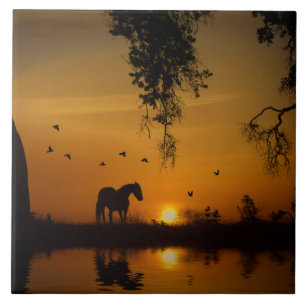 Boom van verbluffende paarden tegeltje