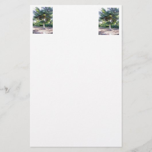 Boom van Wisdom-papierwaren Briefpapier (Voorkant)