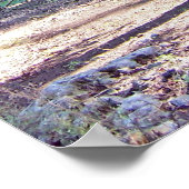 Boom van Wisdom-poster afdrukken Poster (Hoek)