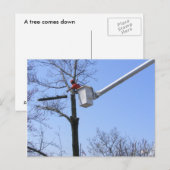 Boom verwijderen ~ briefkaart (Voorkant / Achterkant)