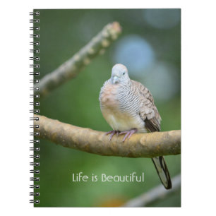 Boom Vogel Kauai (mijn fotografie) Notitieboek