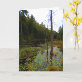 Boom-watermoeraslandschap Kaart (Gele Bloem)