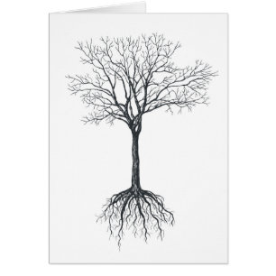 Boom zonder bladeren