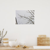 Boom zonder bladeren tegen troebele hemel poster (Keuken)