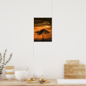 Boom Zonnestralen Poster Zonsondergang (Keuken)