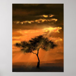 Boom Zonnestralen Poster Zonsondergang
