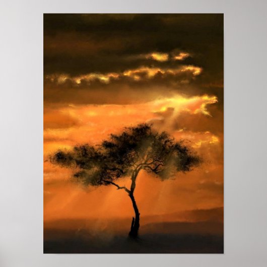 Boom Zonnestralen Poster Zonsondergang (Voorkant)