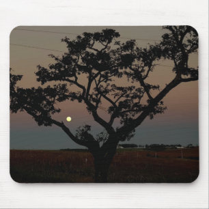 Boom Zonsondergang Muur Natuur Fotografie Muismat