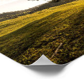 Boom, zonsopgang. Prachtige natuur Poster (Hoek)