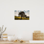 Boom, zonsopgang. Prachtige natuur Poster (Keuken)