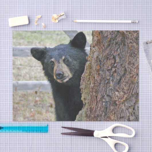 Boom zwart Beer Tissuepapier (Craft)