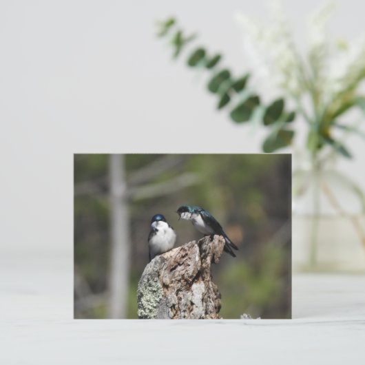 Boom Zwemt Yelling Briefkaart (Staand voorkant)