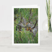 boomaap kaart (Voorkant)