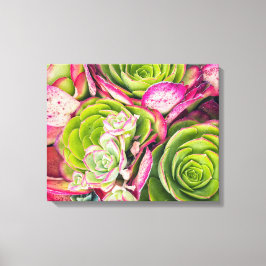 boomaeonium canvas afdruk