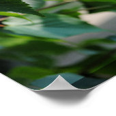 Boomblad Poster (Hoek)