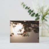 Boombladeren en moonlicht briefkaart (Staand voorkant)