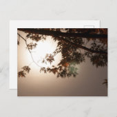 Boombladeren en moonlicht briefkaart (Voorkant / Achterkant)