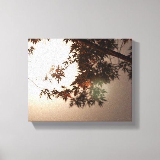 Boombladeren en moonlicht canvas afdruk (Voorkant)