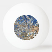 BOOMBLOEI PINGPONGBAL (Achterkant)