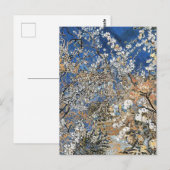 BOOMBLOESEM BRIEFKAART (Voorkant / Achterkant)