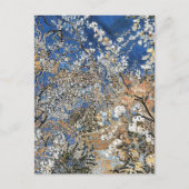 BOOMBLOESEM BRIEFKAART (Voorkant)