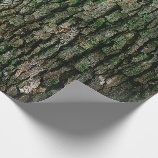 Boomboomstam (houtsschors) cadeaupapier (Hoek)