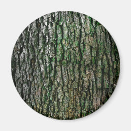 Boomboomstam (houtsschors) magneet