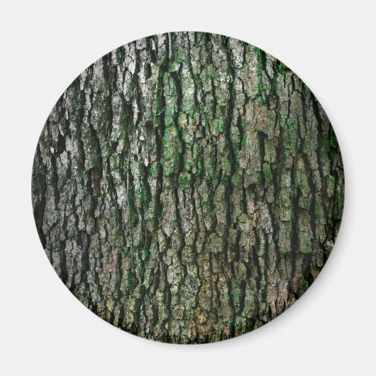 Boomboomstam (houtsschors) magneet (Voorkant)