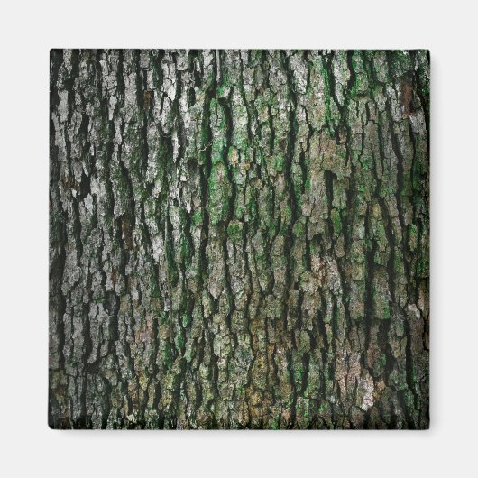 Boomboomstam (houtsschors) magneet (Voorkant)