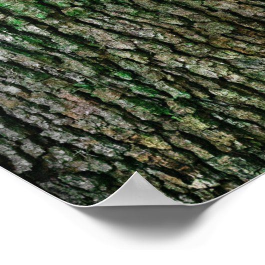 Boomboomstam (houtsschors) poster (Hoek)