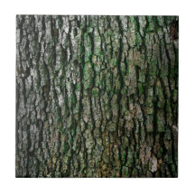 Boomboomstam (houtsschors)