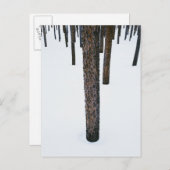 Boomboomstammen in sneeuw briefkaart (Voorkant / Achterkant)