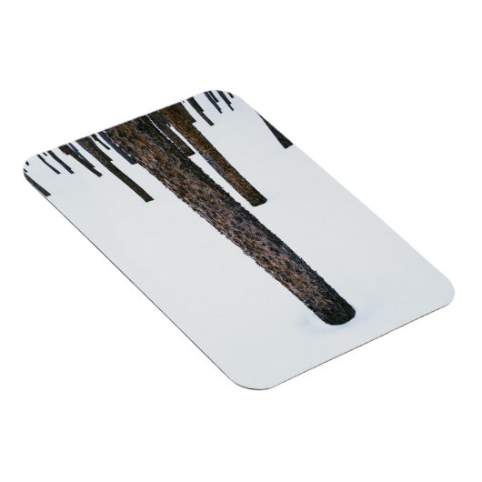 Boomboomstammen in sneeuw magneet (Rechterzijde)