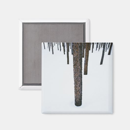 Boomboomstammen in sneeuw magneet (Voorkant / Achterkant)