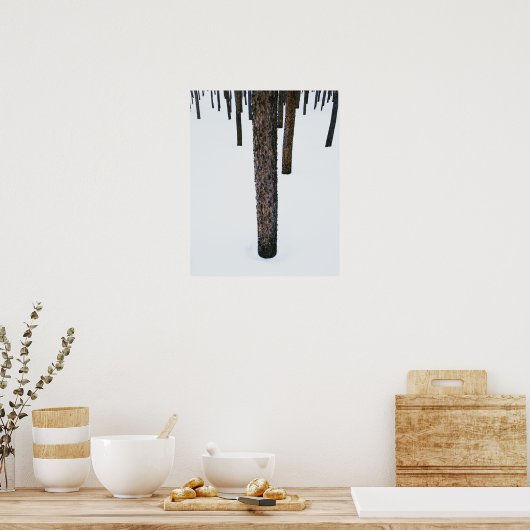 Boomboomstammen in sneeuw poster (Keuken)