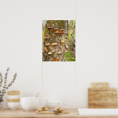 Boomchampignons Foto Poster (Keuken)