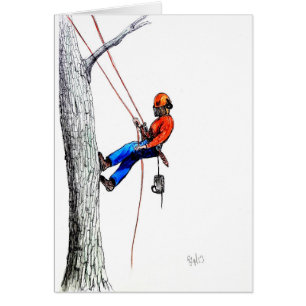 Boomchirurg Arborist Forester