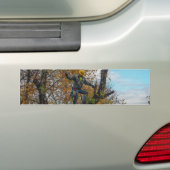 Boomchirurg Bumpersticker (Op auto)