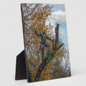 Boomchirurg Fotoplaat (Zijkant)