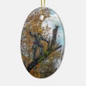Boomchirurg Keramisch Ornament (Links)