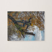 Boomchirurg Legpuzzel (Horizontaal)