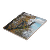 Boomchirurg Tegeltje (Zijkant)