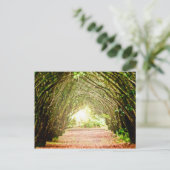 boomcorridor briefkaart (Staand voorkant)