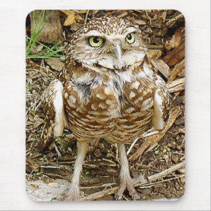Boomende Owl Mousepad Muismat