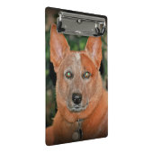 "Boomer" Red Heeler Dog mini klembord (Schuin)