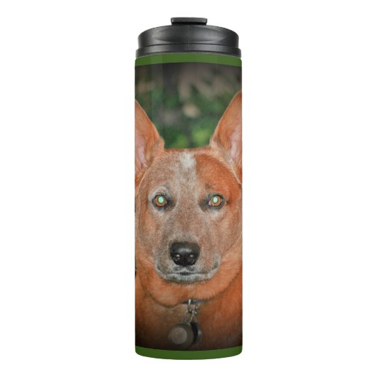 "Boomer" Red Heeler Dog Thermal Tumbler Thermosbeker (Voorkant)