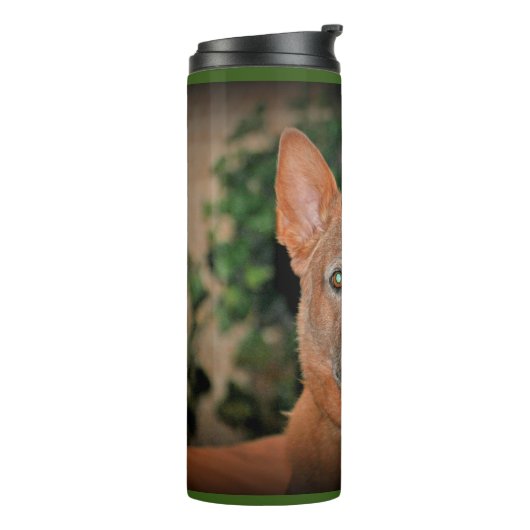 "Boomer" Red Heeler Dog Thermal Tumbler Thermosbeker (Gedraaid links)