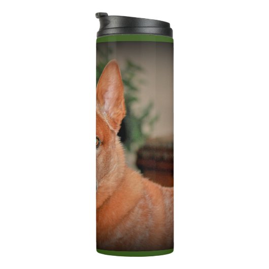 "Boomer" Red Heeler Dog Thermal Tumbler Thermosbeker (Geroteerd rechts)