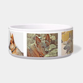 "Boomer" Red Heeler Large Dog Bowl Voerbakje